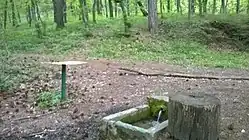 Родник Эски-Юрт, исток реки.