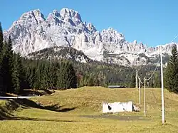 Лес и горы в парке Доломити-Беллунези