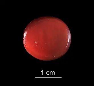 кабошон из сарда