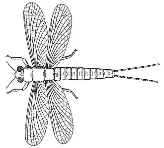 Реконструкция