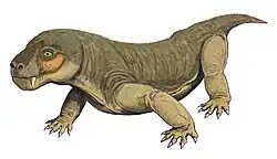 Эучамберсия