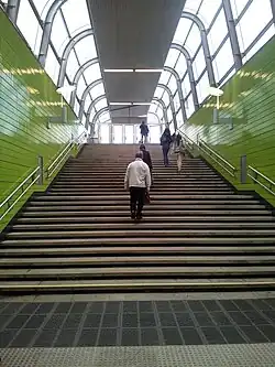 Лестничный марш на Суздальскую улицу