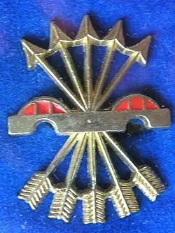 Значок испанских фалангистов