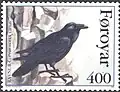 FR 275: фарерский ворон (Corvus corax varius)