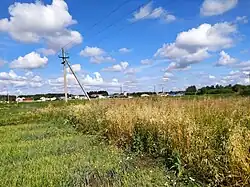 Поля около села Тойси