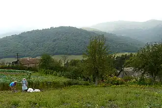 Село Фиолетово