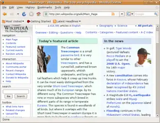 Скриншот программы Mozilla Firefox 3