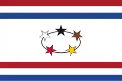 Флаг губернатора Нидерландской Гвианы