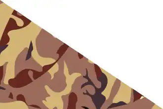 Эмблема и флаг Пограничных войск Израиля