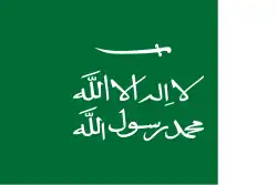 Султанат Неджд (1921–1926)