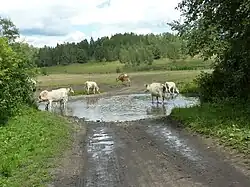 Брод через реку Казмаш в верхнем течении