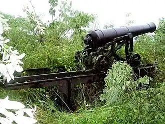 Одна из пушек Форт-Холдейна