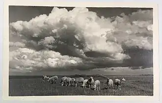 Фотооткрытка из серии «Прекрасная родина»