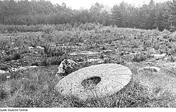 Жернова вблизи Безе