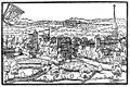 Город Фрауэнфельд в хронике Йохана Штумпфа (нем. Johannes Stumpf), 1548