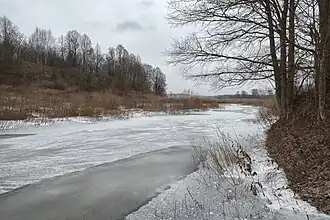 Ноябрьский ледостав.