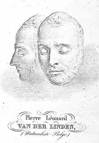 Рисунок посмертной маски