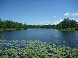 Вид на пруд в нижнем течении реки Паркачиха летом 2012 года