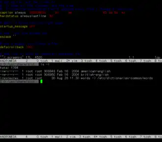 Скриншот программы GNU Screen