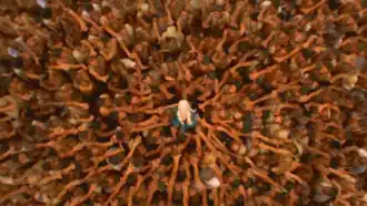 Дейенерис, в центре, восхваляют свободные юнкайцы как их «мису», или мать, в финале сезона. Позитивная сцена получила похвалу, а также подверглась критике за колониальный подтекст.