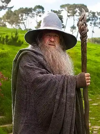 Гэндальф Серый в исполнении сэра&nbsp;Иэна&nbsp;Маккеллена