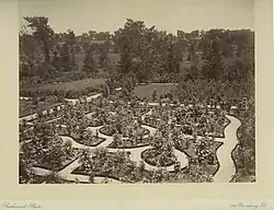 Садовый лабиринт в США. Фото Джорджа Роквуда[англ.], 1880-е годы