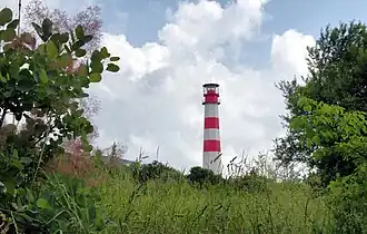 Фотография 2011 года