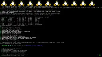 Скриншот загрузки системы Gentoo GNU/Linux