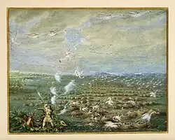 Охота на фламинго в Южной Америке (1856)