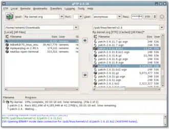 Скриншот программы gFTP