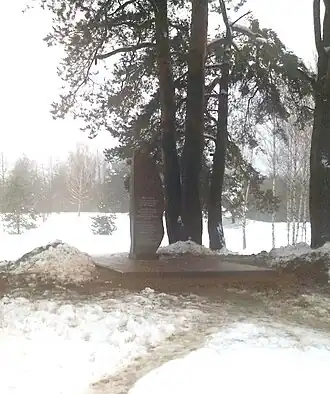 Памятник убитым евреям в Боровухе-2