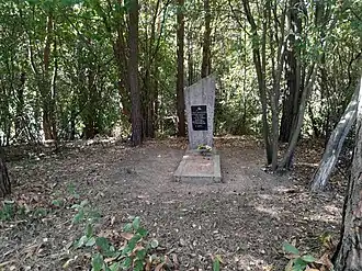 Памятник убитым евреям Лапичей на братской могиле на городском кладбище