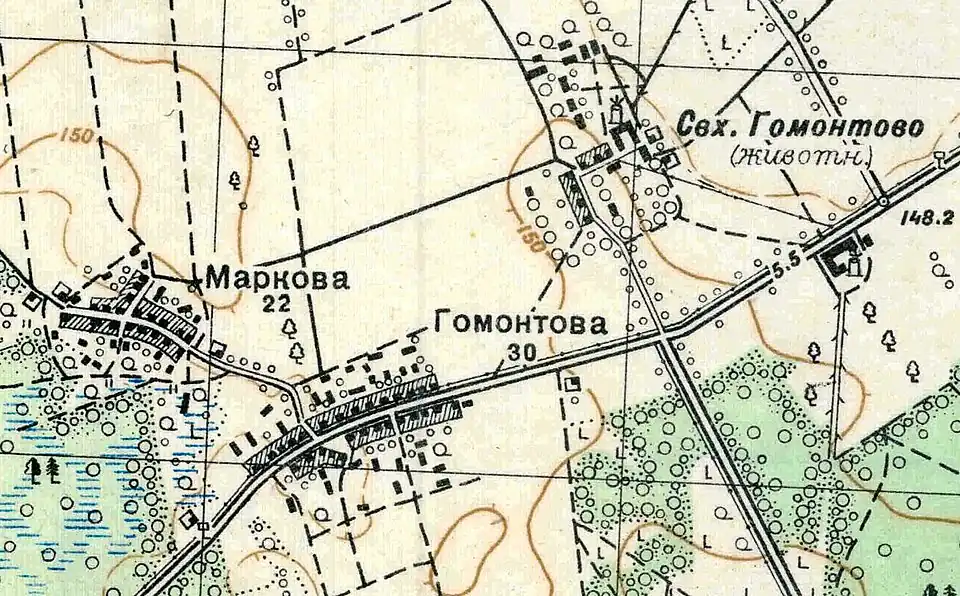 План деревни и совхоза Гомонтово. 1938 год