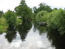 Говеница у деревни Степница