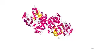 Кристаллическая структура комплекса GRK1 с АТФ.