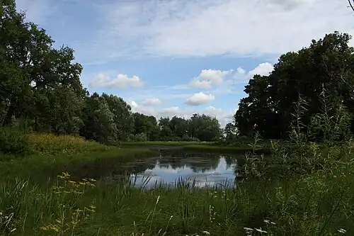 Пруд при даче Самойловой. 2013 г.