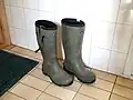 Резиновые сапоги