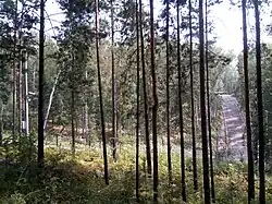 Биатлонная трасса