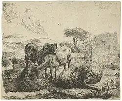 Группа из пяти овец. 1650. Офорт