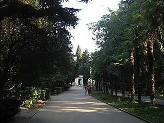 Центральная аллея