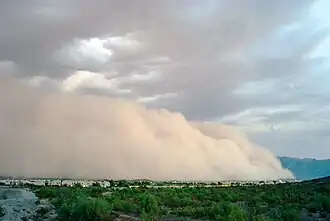 Финикс, Аризона, 22 августа 2003 г.