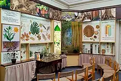 Зал № 10 «Жизнь растений»