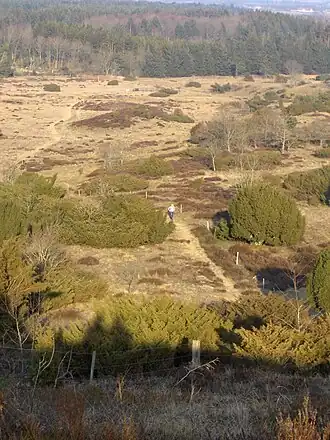 Природный заповедник Хаммер-Баккер[дат.]
