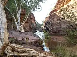 Ущелье Хамерсли