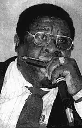 Хармоника Фэтс с губной гармоникой