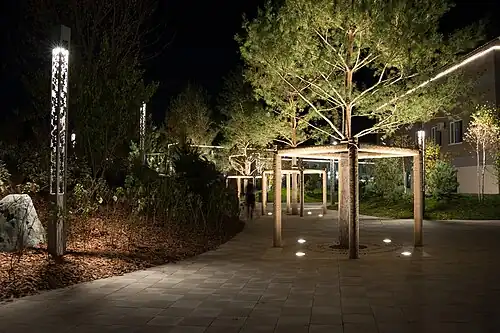 Памятные сосны