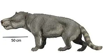 Реконструкция Hemipsalodon grandis