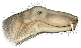 Реконструкция головы