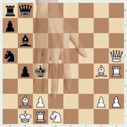 Herzog Albrecht V und Herzogin Anna von Bayern beim Schachspiel. Реконструкция шахматной позиции на миниатюре фронтисписа. Анимация .gif