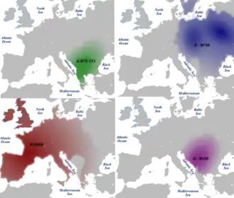 Распространение гаплогруппы I2-M438, а также гаплогрупп E-M78 (V13), R1a-M198, R1b-M269 в Европе